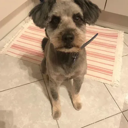 Zen - Heated Pool, Ev Type 2 * Trogir