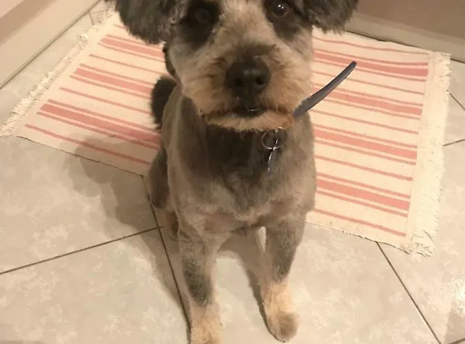 Zen - Heated Pool, Ev Type 2 * Трогір